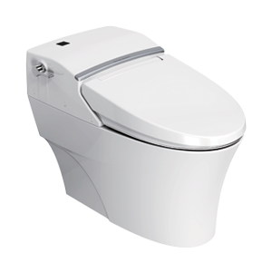 American Standard Toilet & Squat