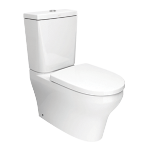 American Standard Toilet & Squat
