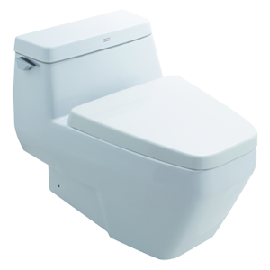 American Standard Toilet & Squat
