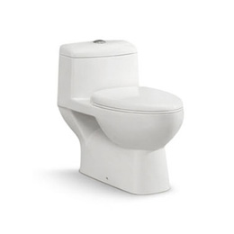 Tomato Toilet & Squat