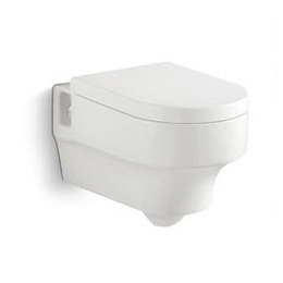 Washdown Wall-Hung Closet - Tomato