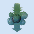 Kinetico Water Filter Features